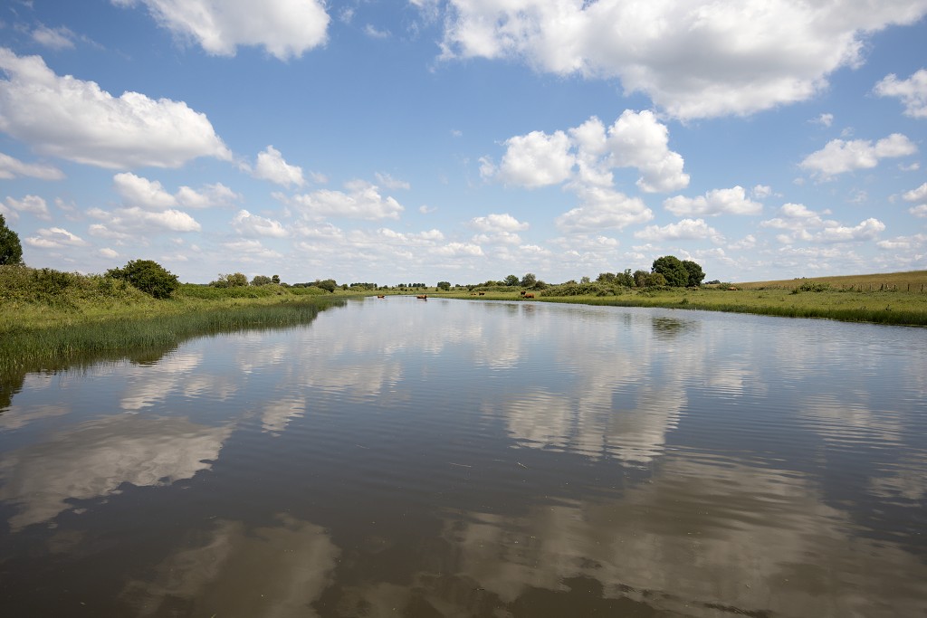 dintelse gorzen natuurgebied natuur natuurmonumenten schotse hooglanders brabant de heen landschap hdr